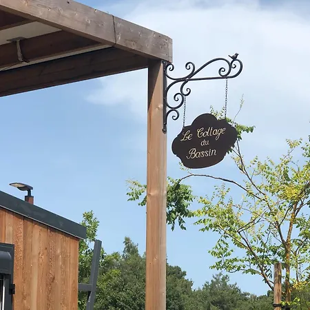 Vip Du Bassin 度假居 *